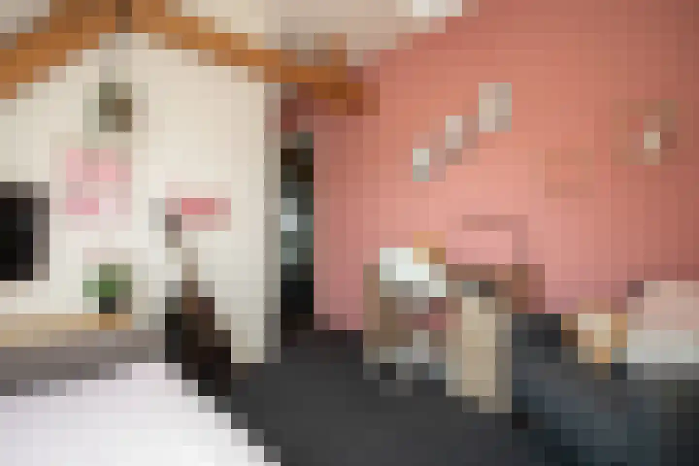 Ypeloweg 20 Wierden thumbnail 42