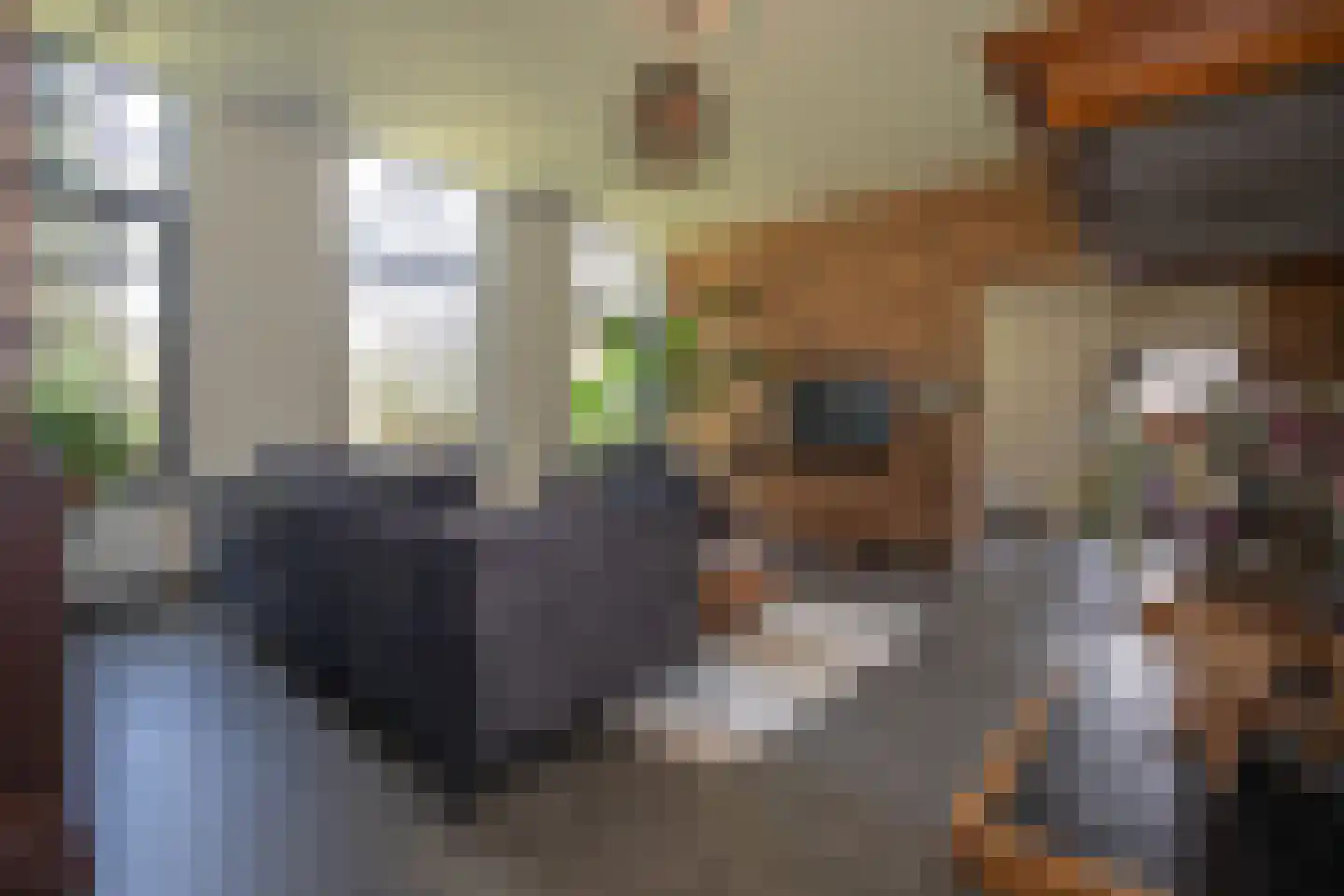 Ypeloweg 20 Wierden thumbnail 56