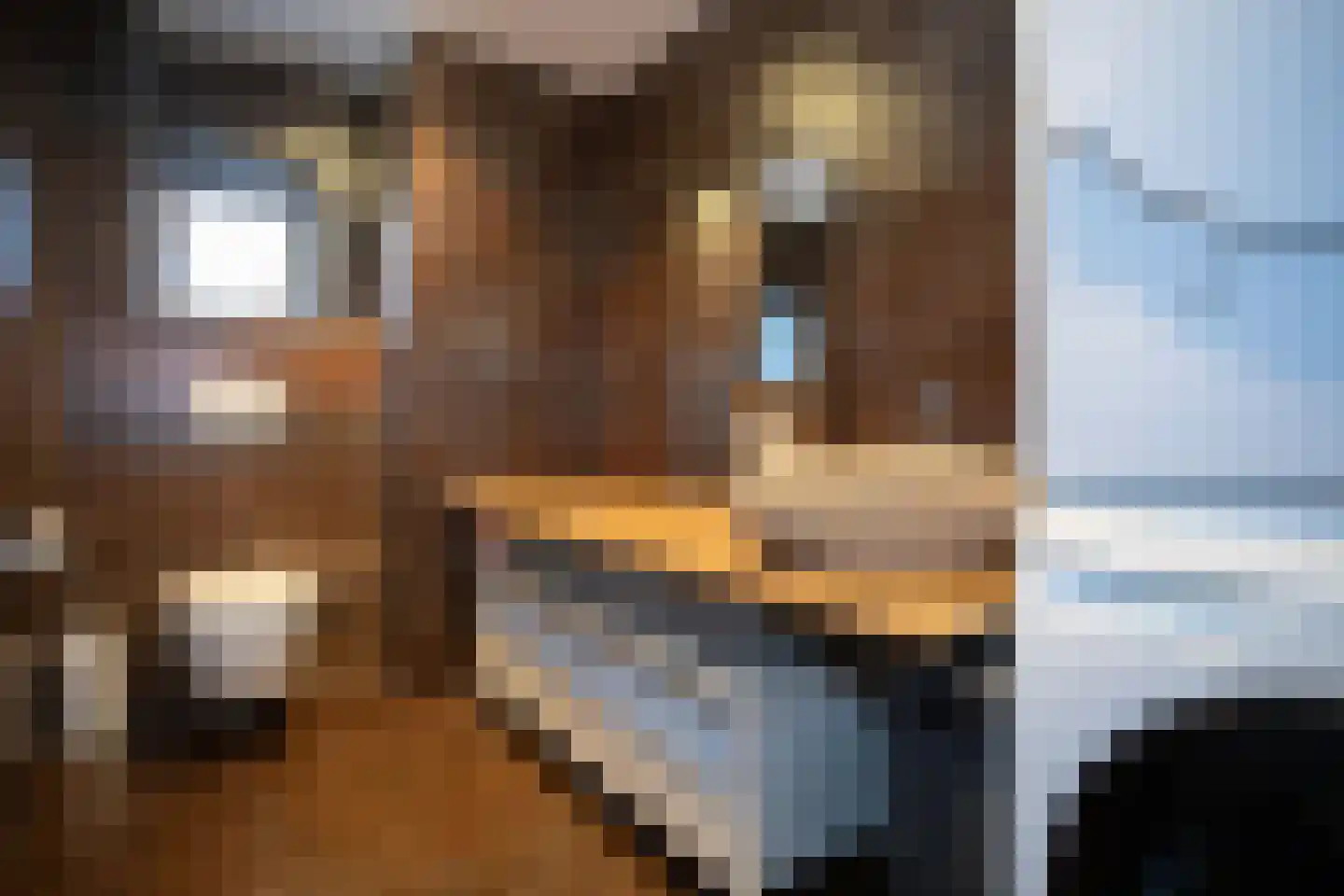 Ypeloweg 20 Wierden thumbnail 68