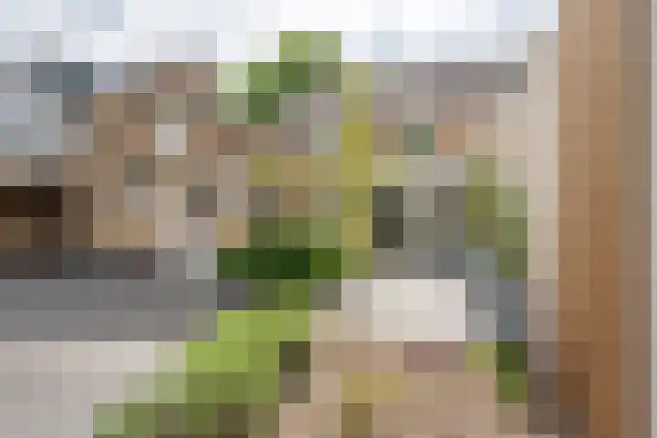Ypeloweg 5 a Enter thumbnail 25