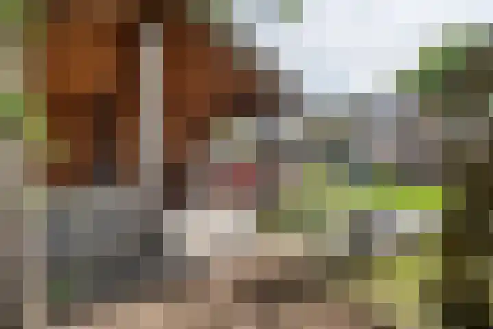 Ypeloweg 5 a Enter thumbnail 33