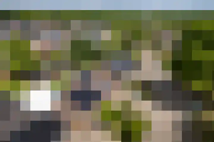 Ypeloweg 5 a Enter thumbnail 34