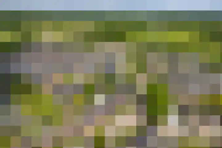 Ypeloweg 5 a Enter thumbnail 35
