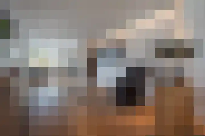 Ypeloweg 5 a Enter thumbnail 7