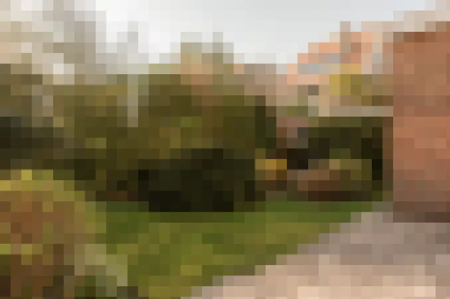 Ypersestraat 3 Den Haag thumbnail 15