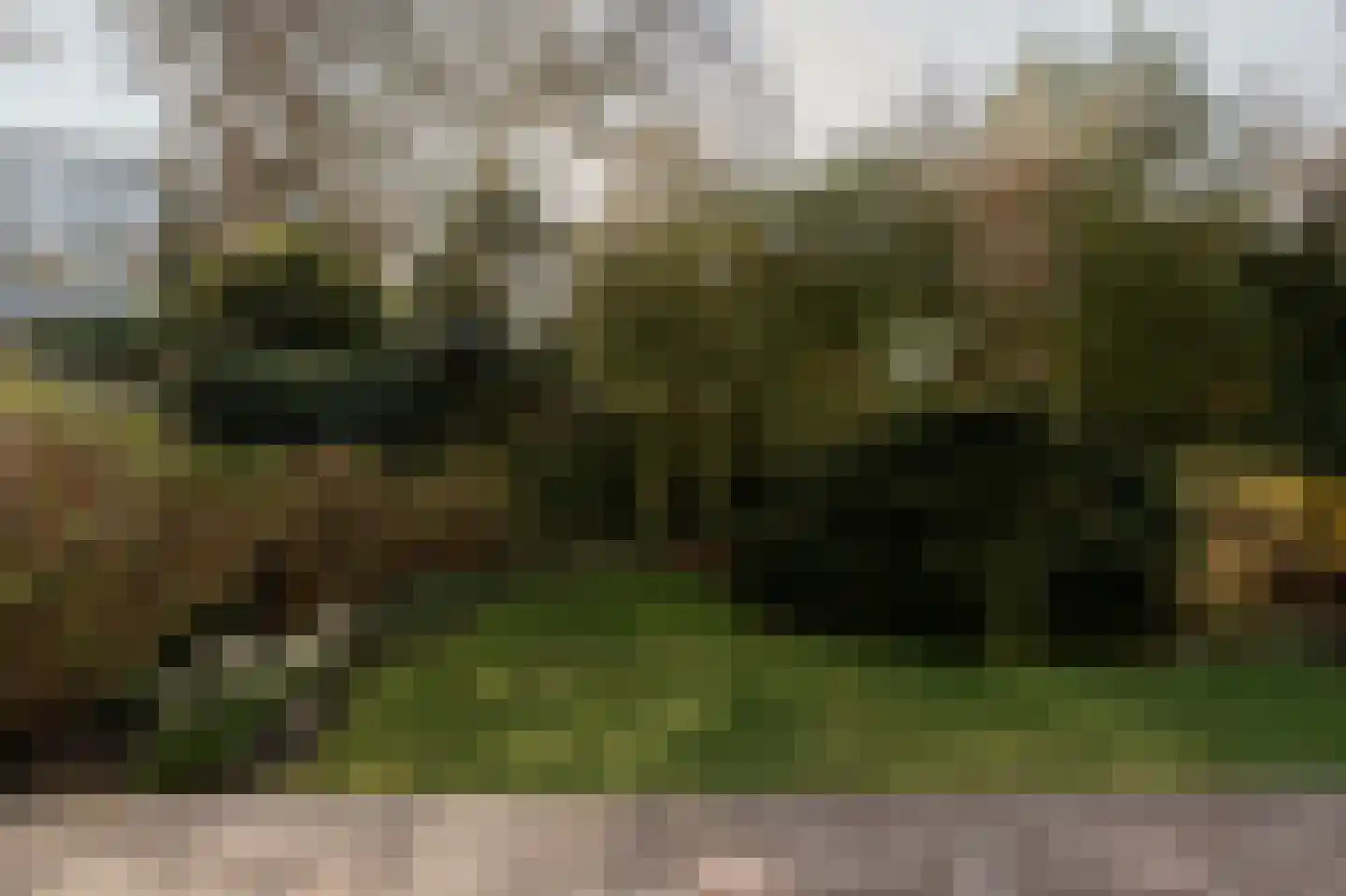 Ypersestraat 3 Den Haag thumbnail 16