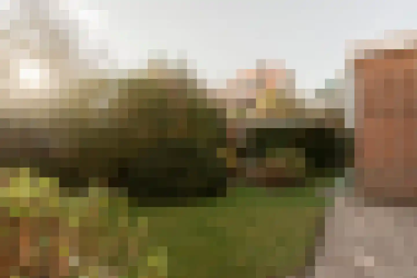 Ypersestraat 3 Den Haag thumbnail 17