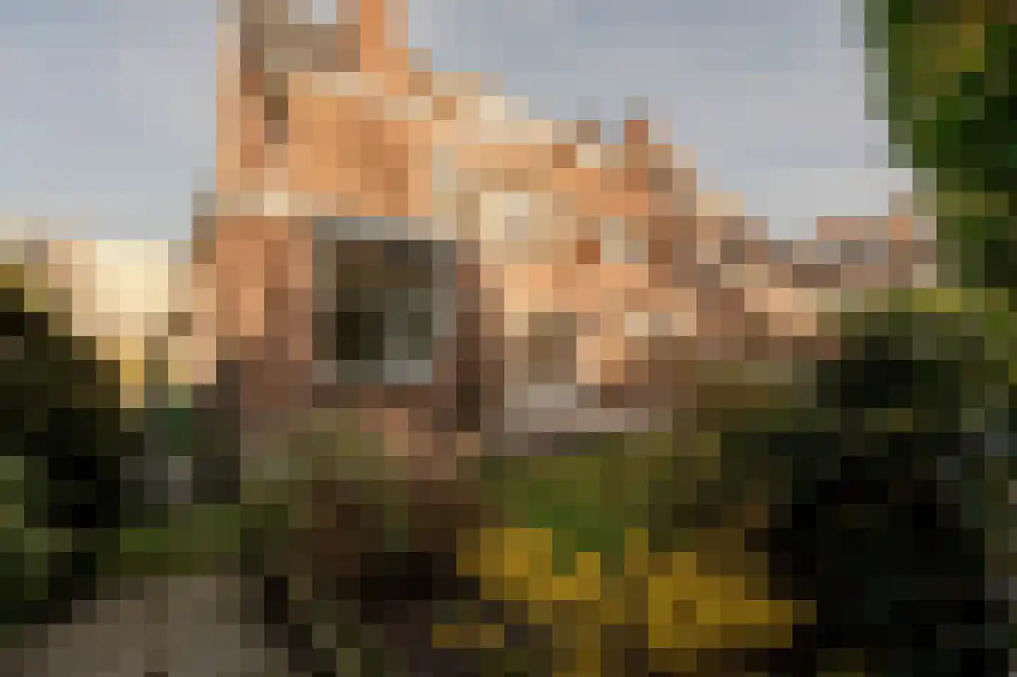 Ypersestraat 3 Den Haag thumbnail 19