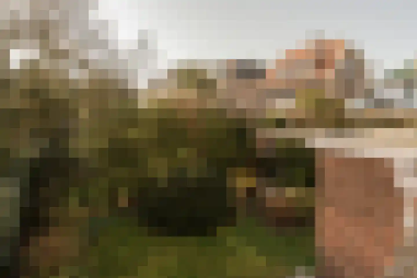 Ypersestraat 3 Den Haag thumbnail 34