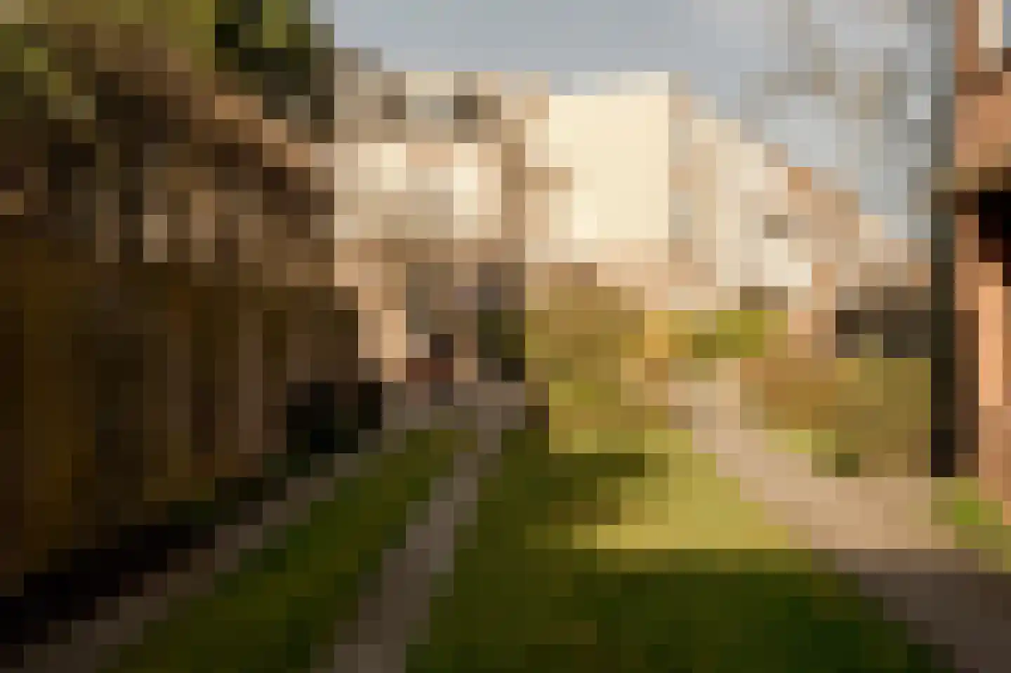 Ypersestraat 3 Den Haag thumbnail 5
