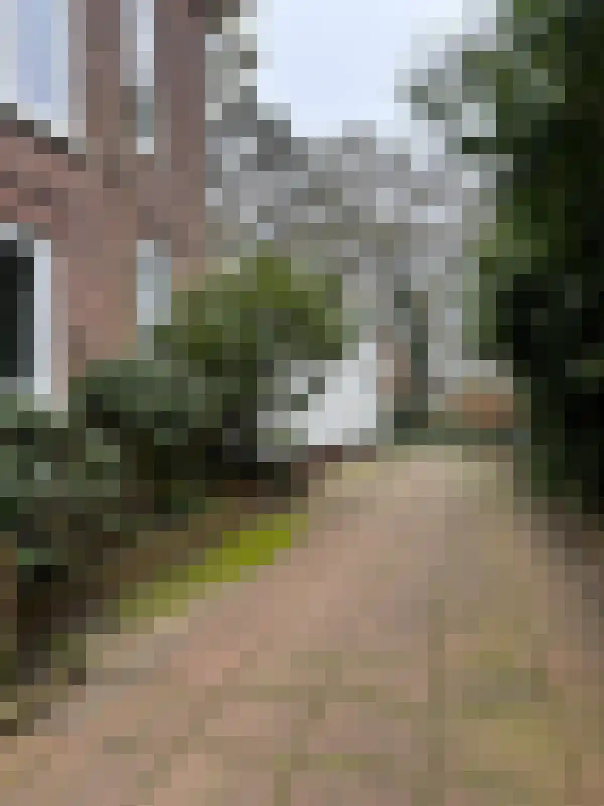 Ypersestraat 9 Den Haag thumbnail 4