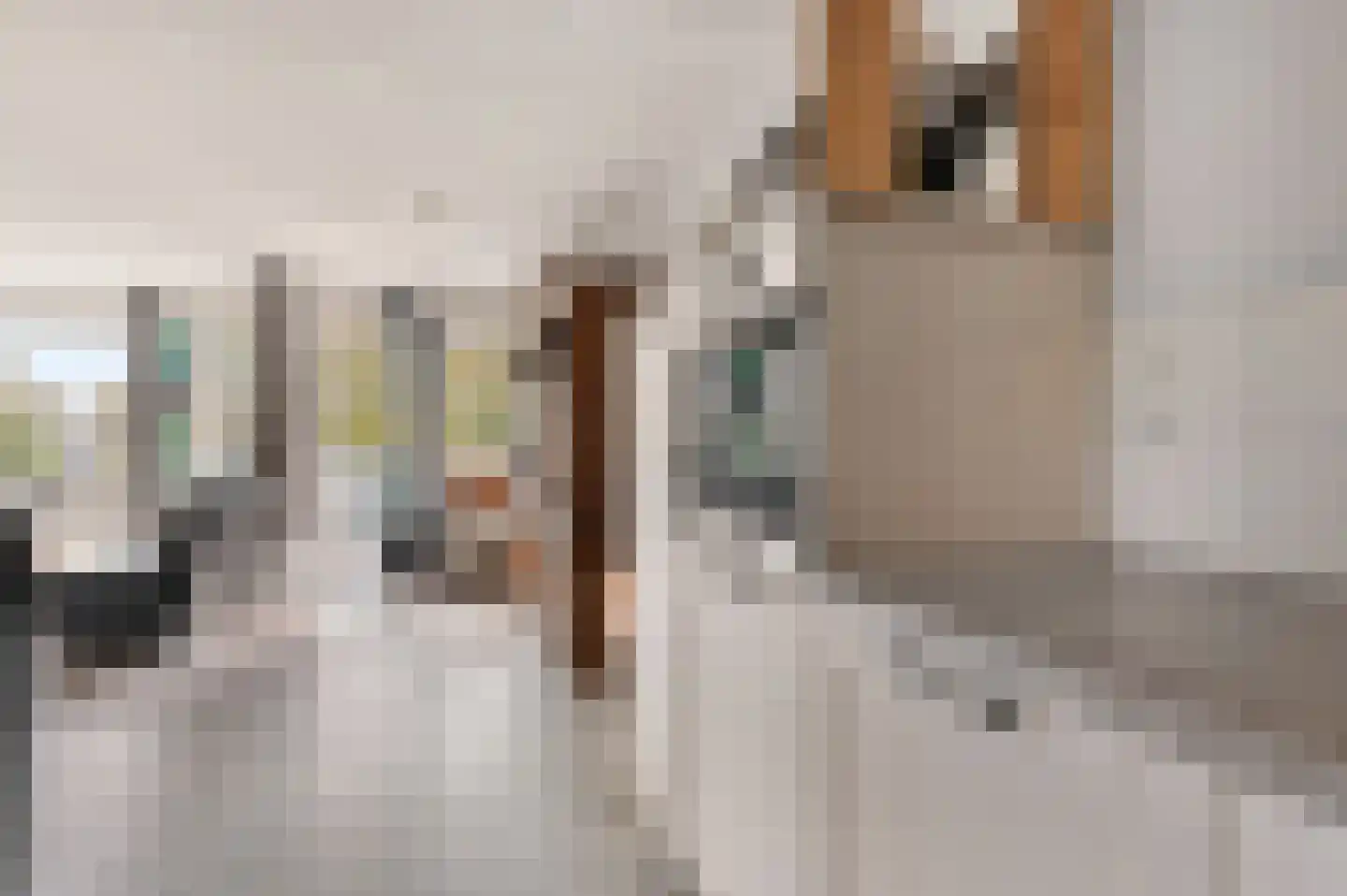 Ypesteinerlaan 104 Heiloo thumbnail 13