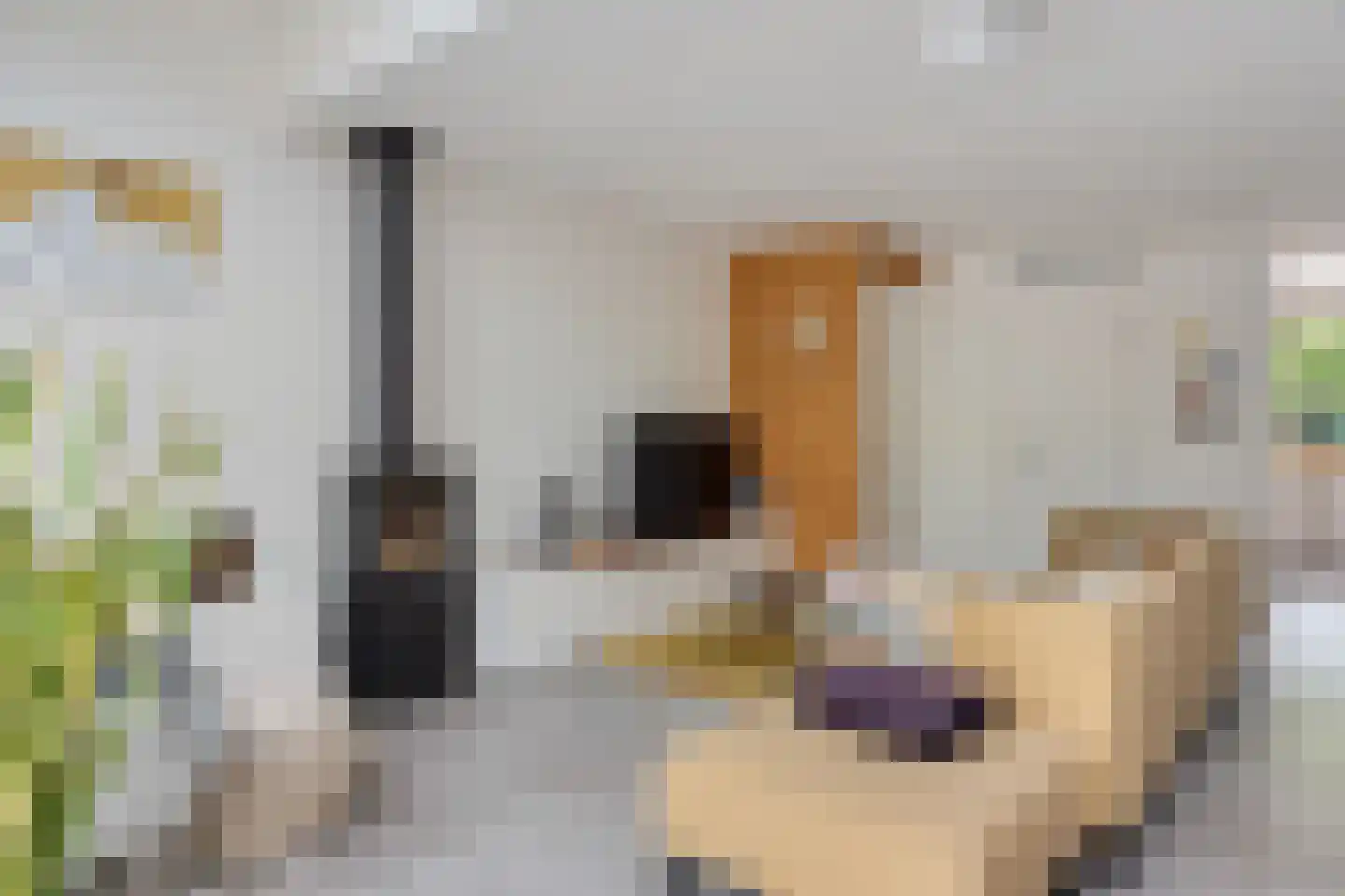 Ypesteinerlaan 42 Heiloo thumbnail 11