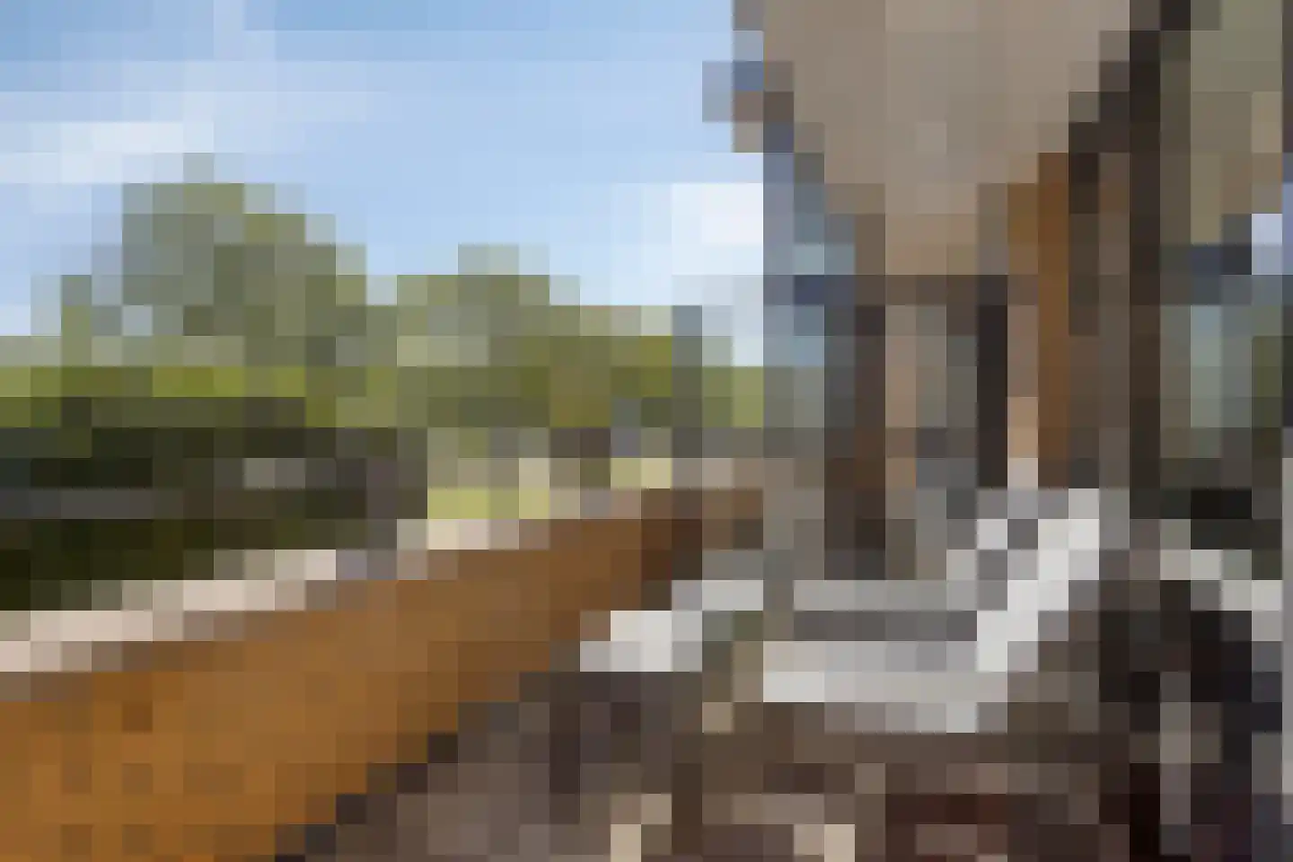 Ypesteinerlaan 87 Heiloo thumbnail 24