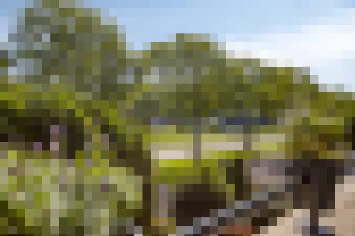 Ypesteinerlaan 87 Heiloo thumbnail 34