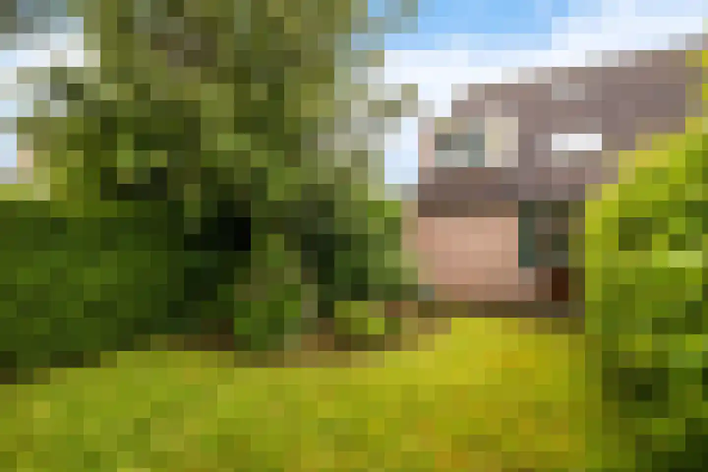 Ypk fan der Fearwei 2 Leeuwarden thumbnail 18