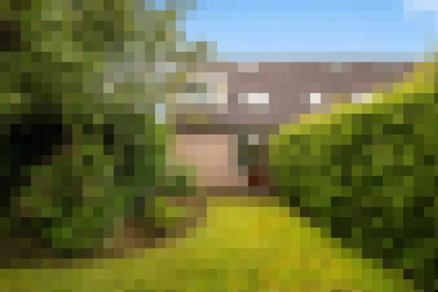 Ypk fan der Fearwei 2 Leeuwarden thumbnail 19