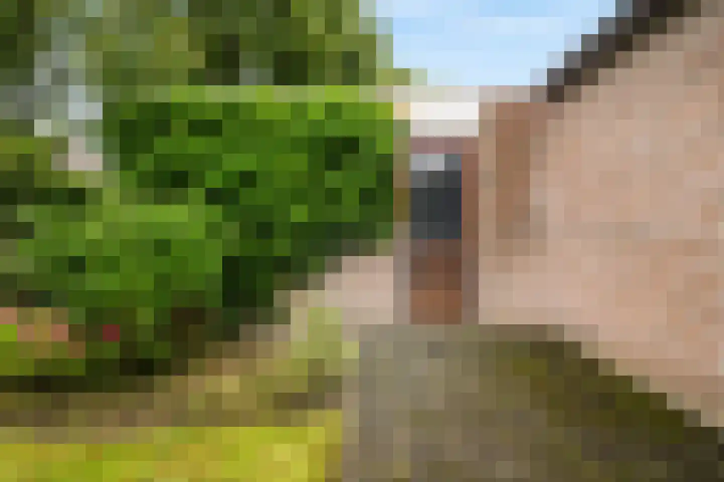 Ypk fan der Fearwei 2 Leeuwarden thumbnail 20
