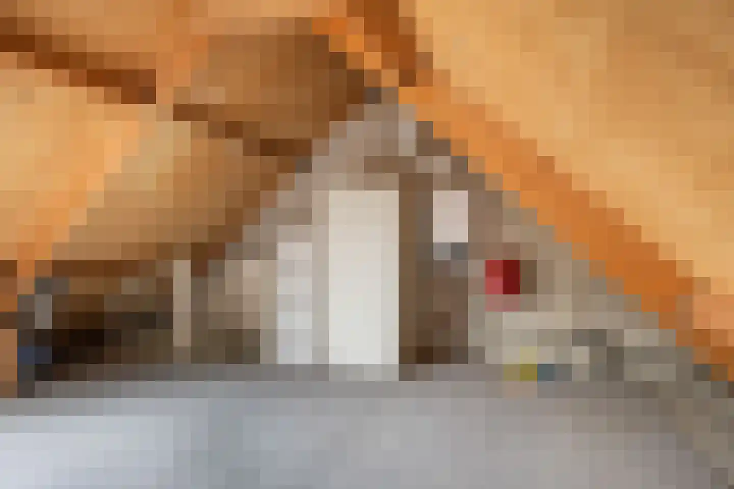 Ypk fan der Fearwei 2 Leeuwarden thumbnail 32