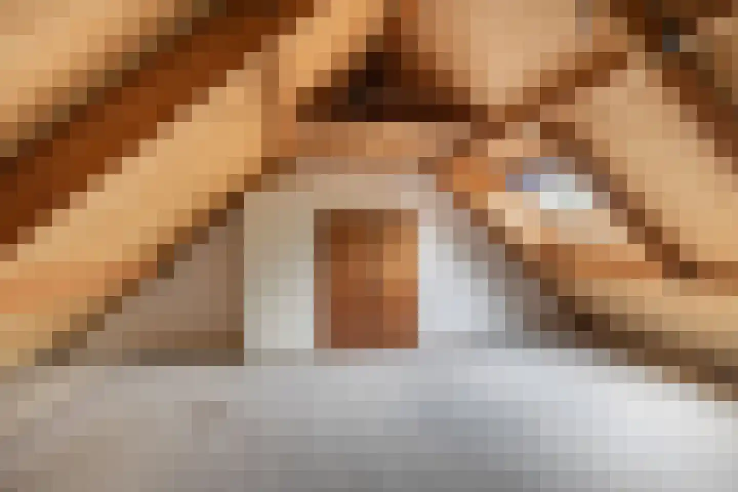 Ypk fan der Fearwei 2 Leeuwarden thumbnail 33