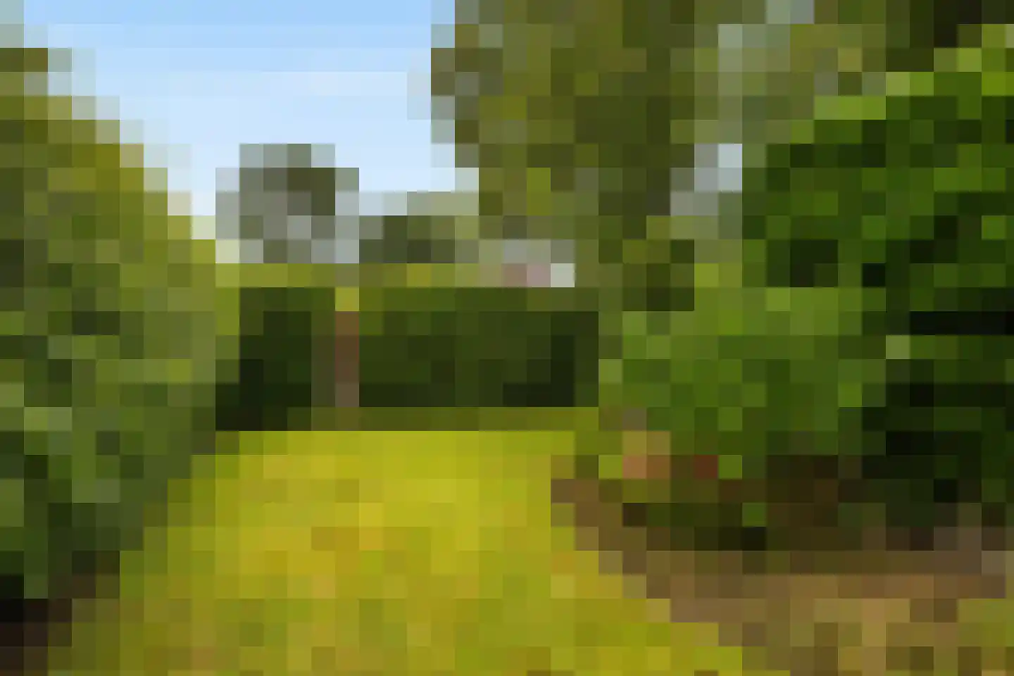 Ypk fan der Fearwei 2 Leeuwarden thumbnail 4