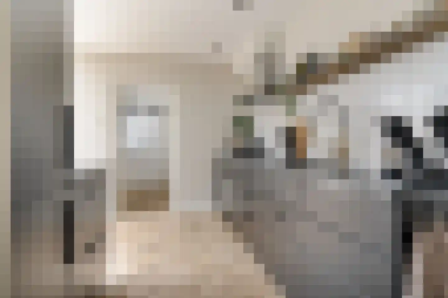 Ypkemeulestraat 21 Enschede thumbnail 15