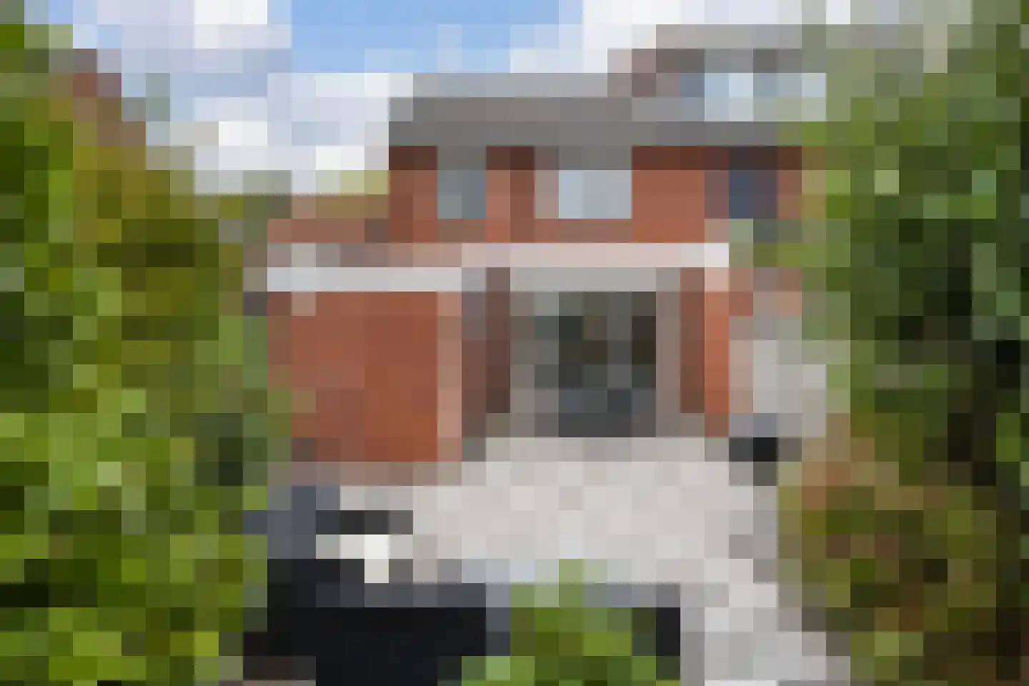 Ypkemeulestraat 78 Enschede thumbnail 34
