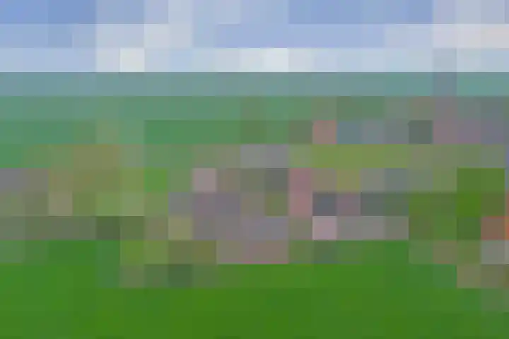 Ysgumerweg 1 A Dedgum thumbnail 31