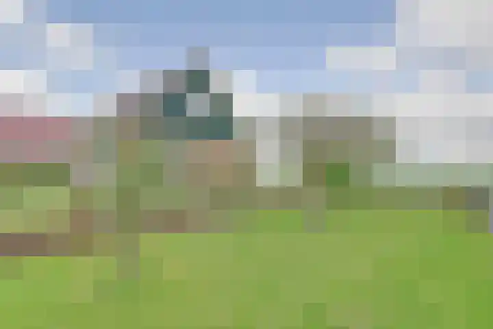 Ysgumerweg 1 A Dedgum thumbnail 4