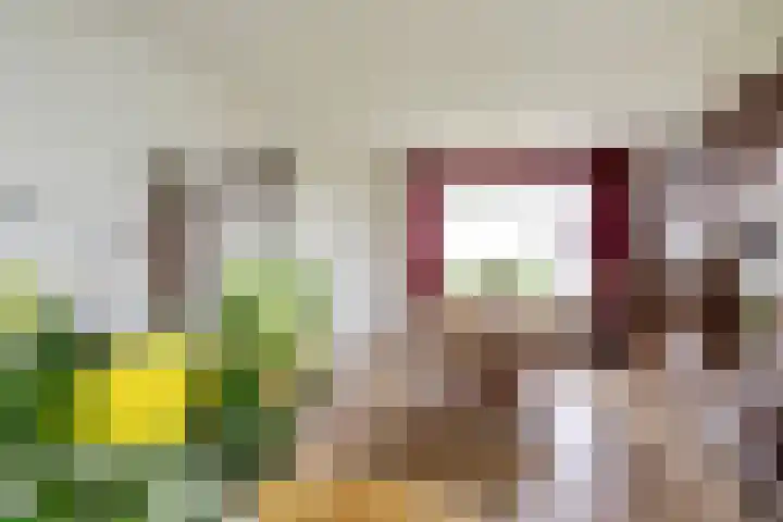 Ysgumerweg 1 A Dedgum thumbnail 6