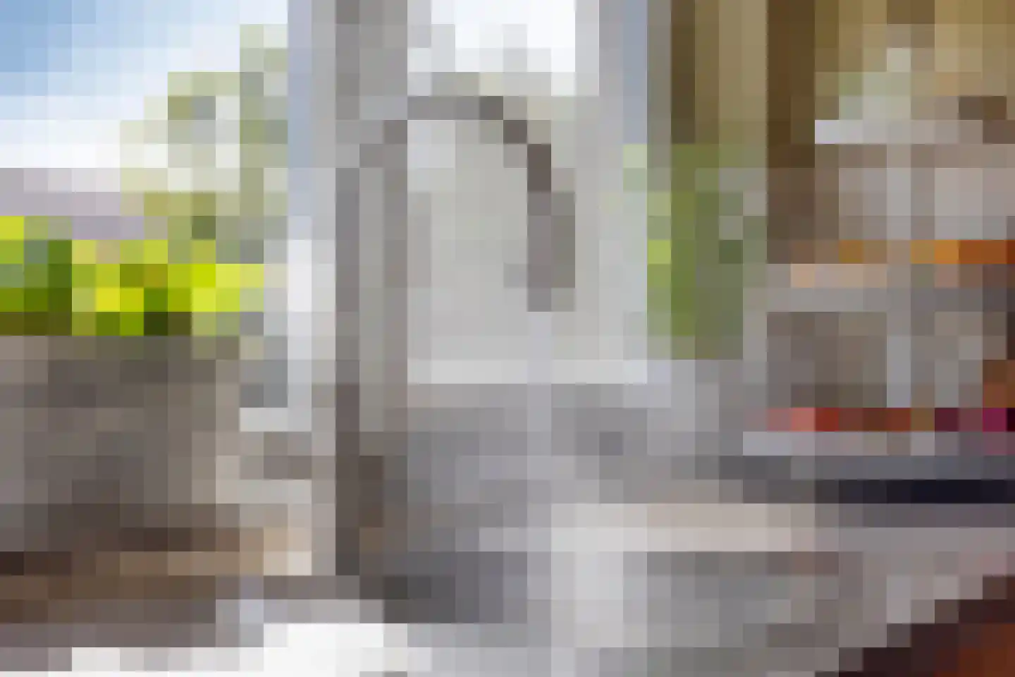 Ysselsteynseweg 11 Heide thumbnail 19