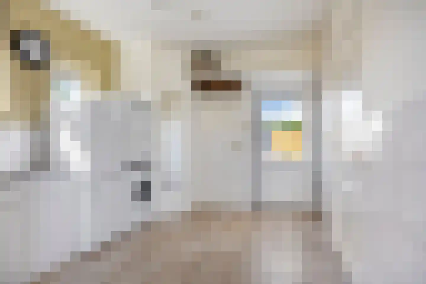 Ysselsteynseweg 11 Heide thumbnail 21