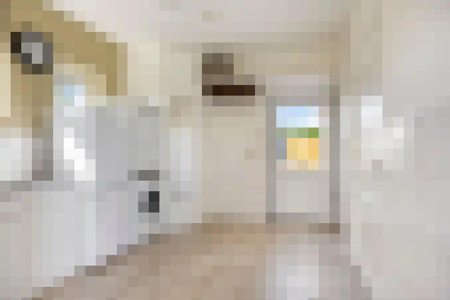 Ysselsteynseweg 11 Heide thumbnail 22