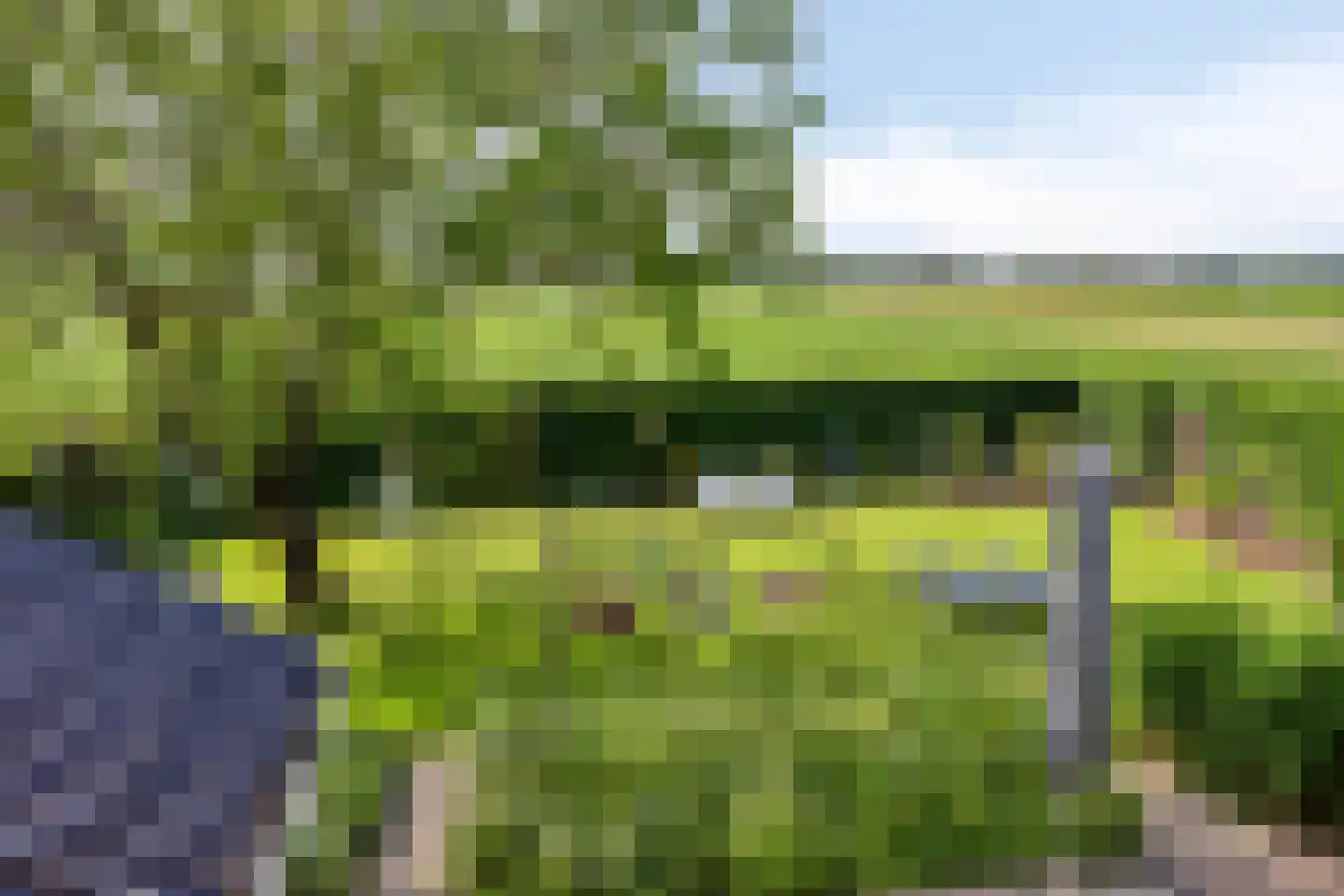 Ysselsteynseweg 11 Heide thumbnail 28