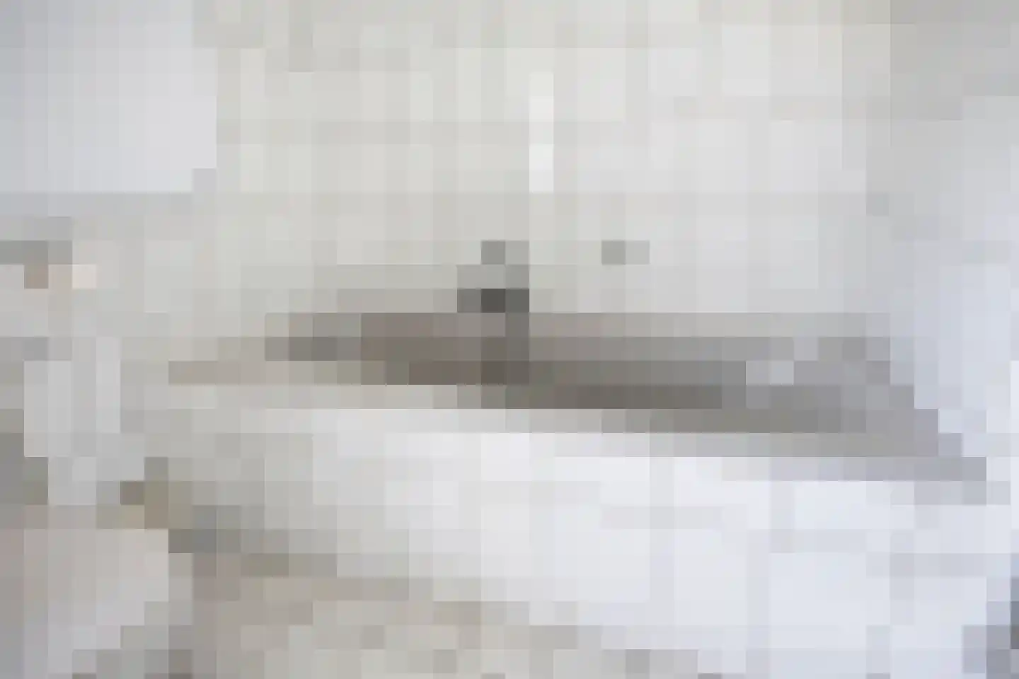 Ysselsteynseweg 11 Heide thumbnail 31