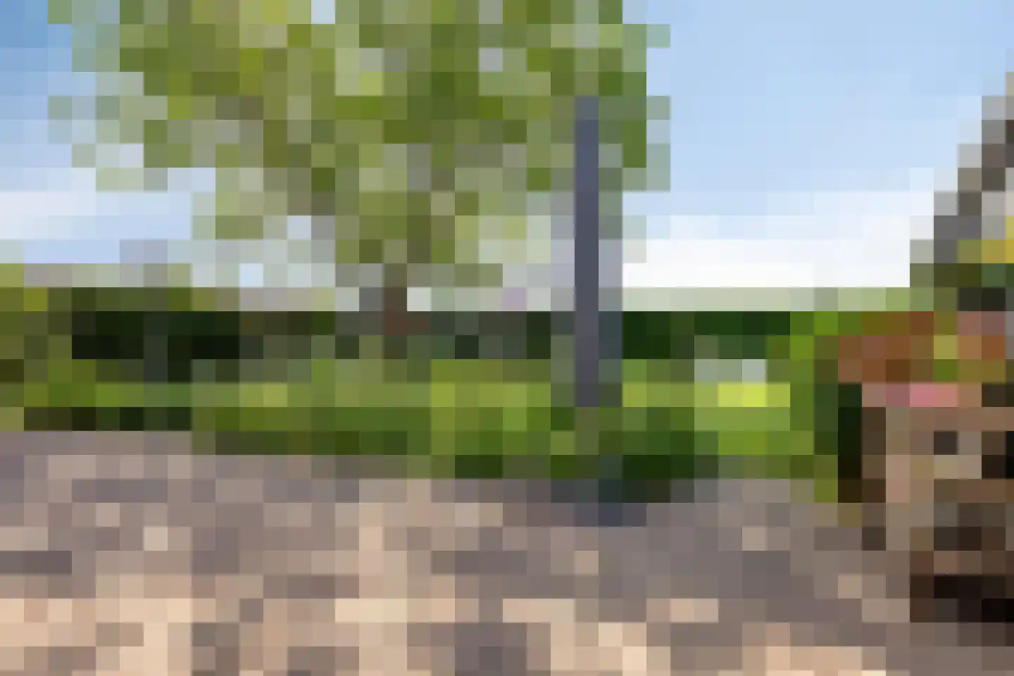 Ysselsteynseweg 11 Heide thumbnail 38