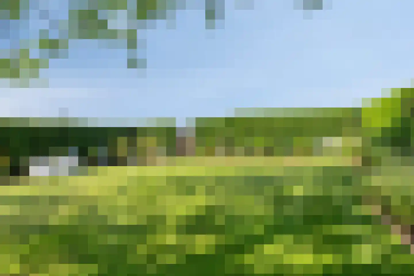 Ysselsteynseweg 11 Heide thumbnail 39