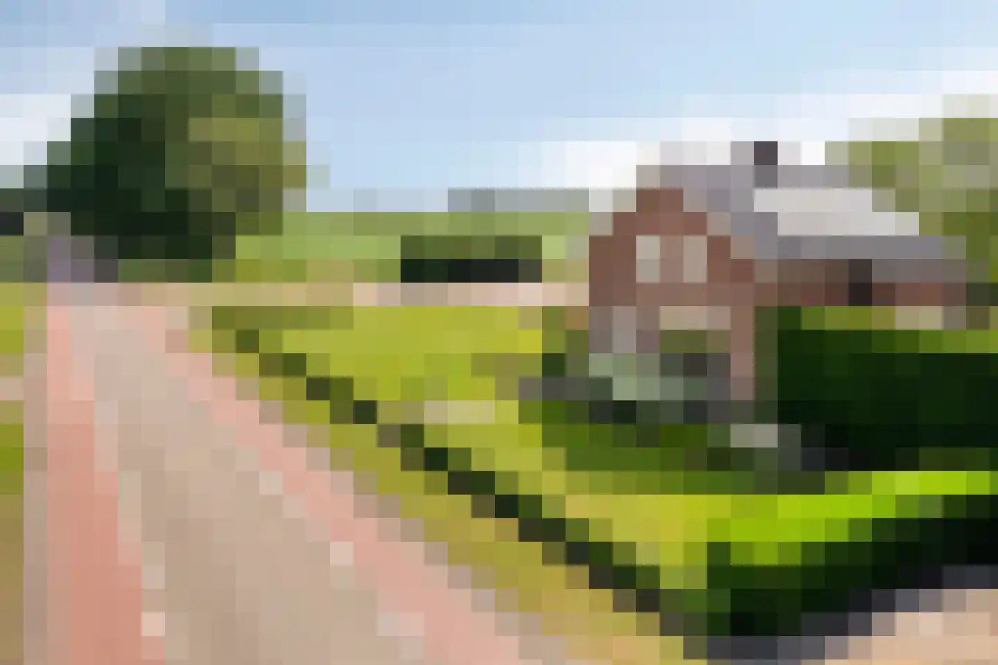 Ysselsteynseweg 11 Heide thumbnail 4