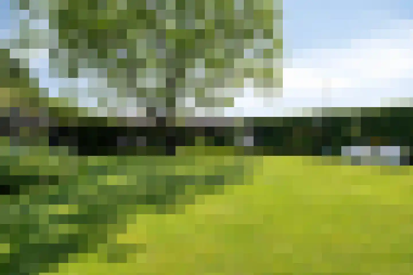 Ysselsteynseweg 11 Heide thumbnail 40