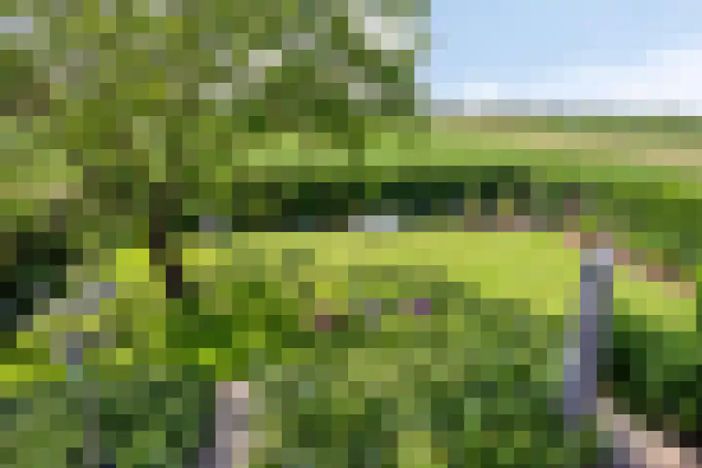 Ysselsteynseweg 11 Heide thumbnail 47