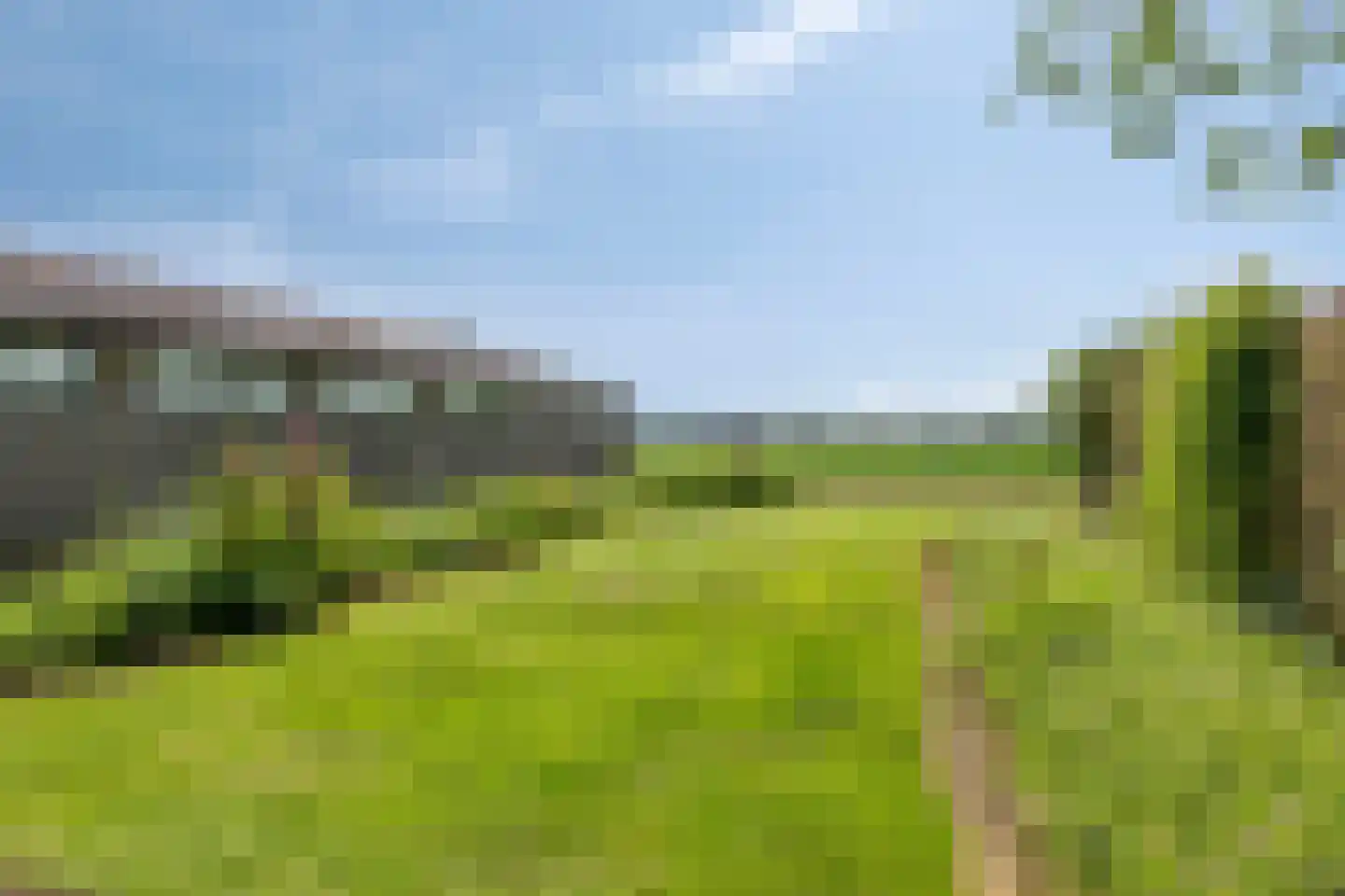Ysselsteynseweg 11 Heide thumbnail 56
