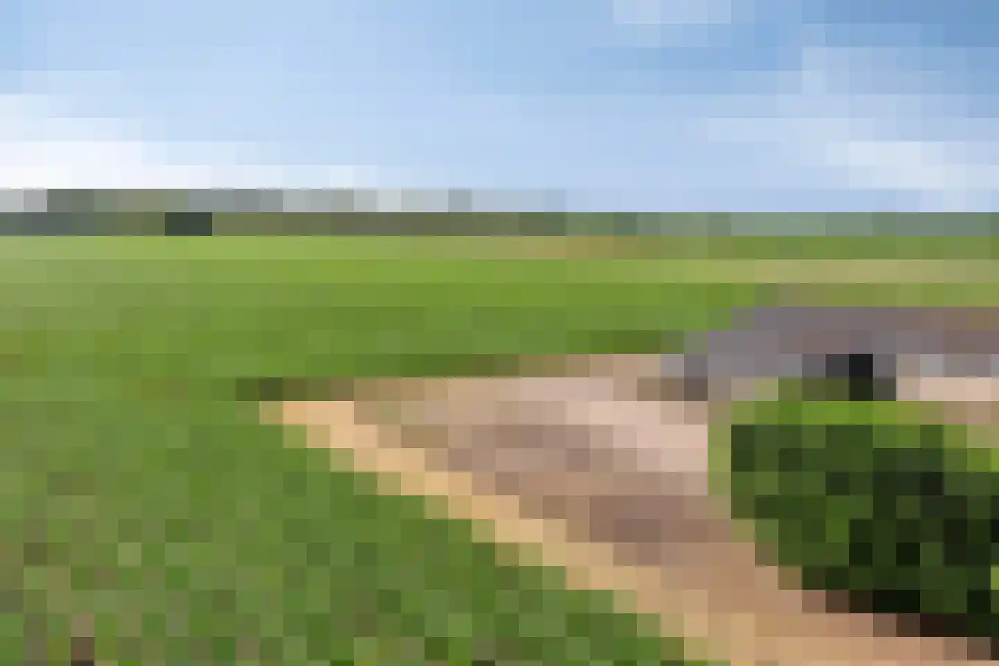 Ysselsteynseweg 11 Heide thumbnail 57