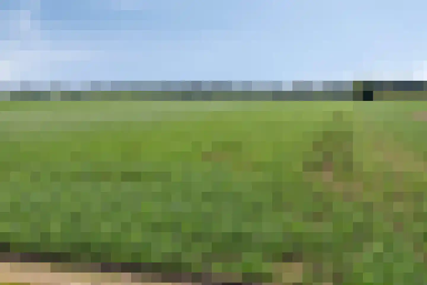 Ysselsteynseweg 11 Heide thumbnail 59