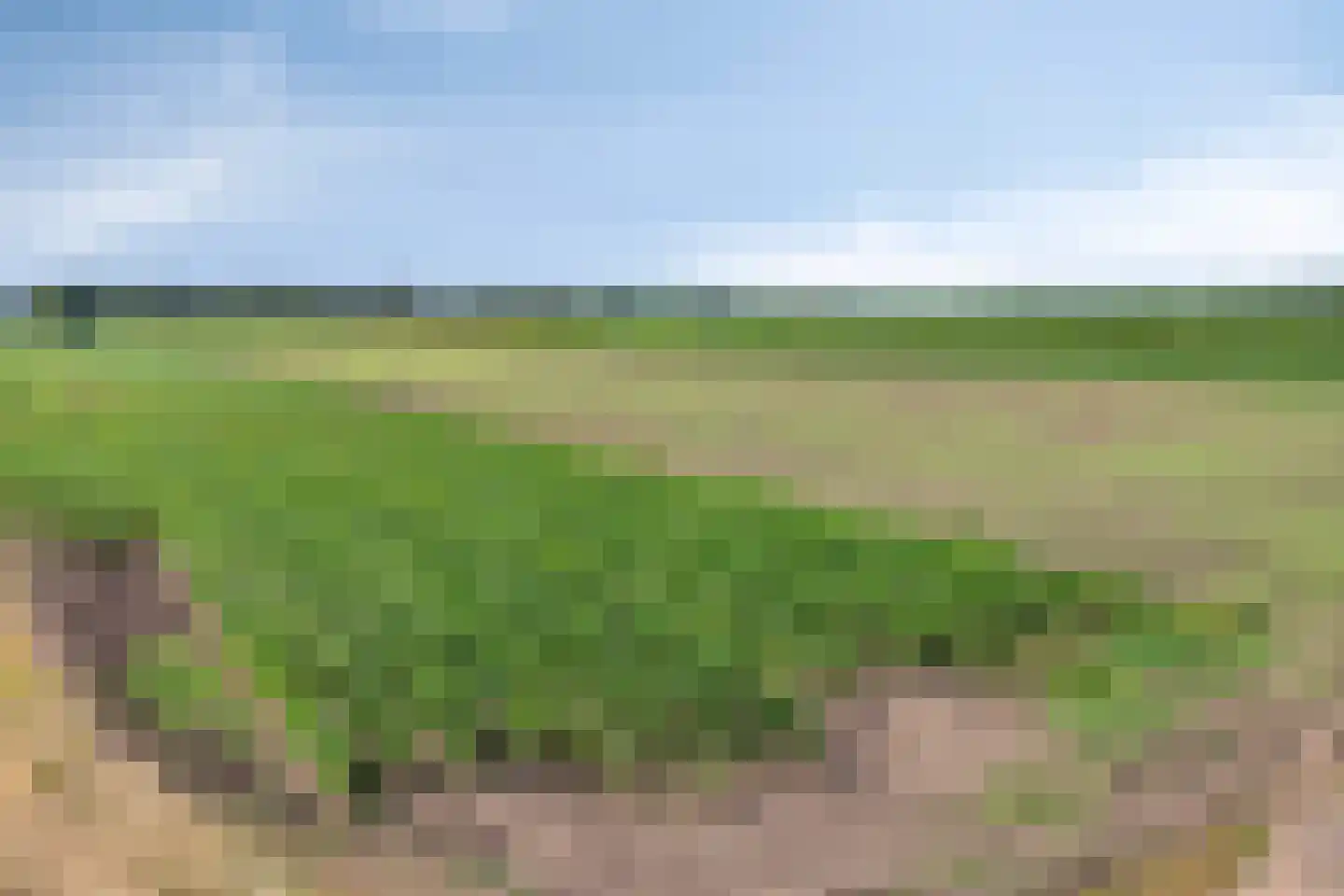 Ysselsteynseweg 11 Heide thumbnail 60