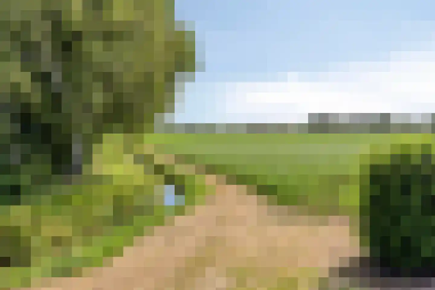 Ysselsteynseweg 11 Heide thumbnail 62