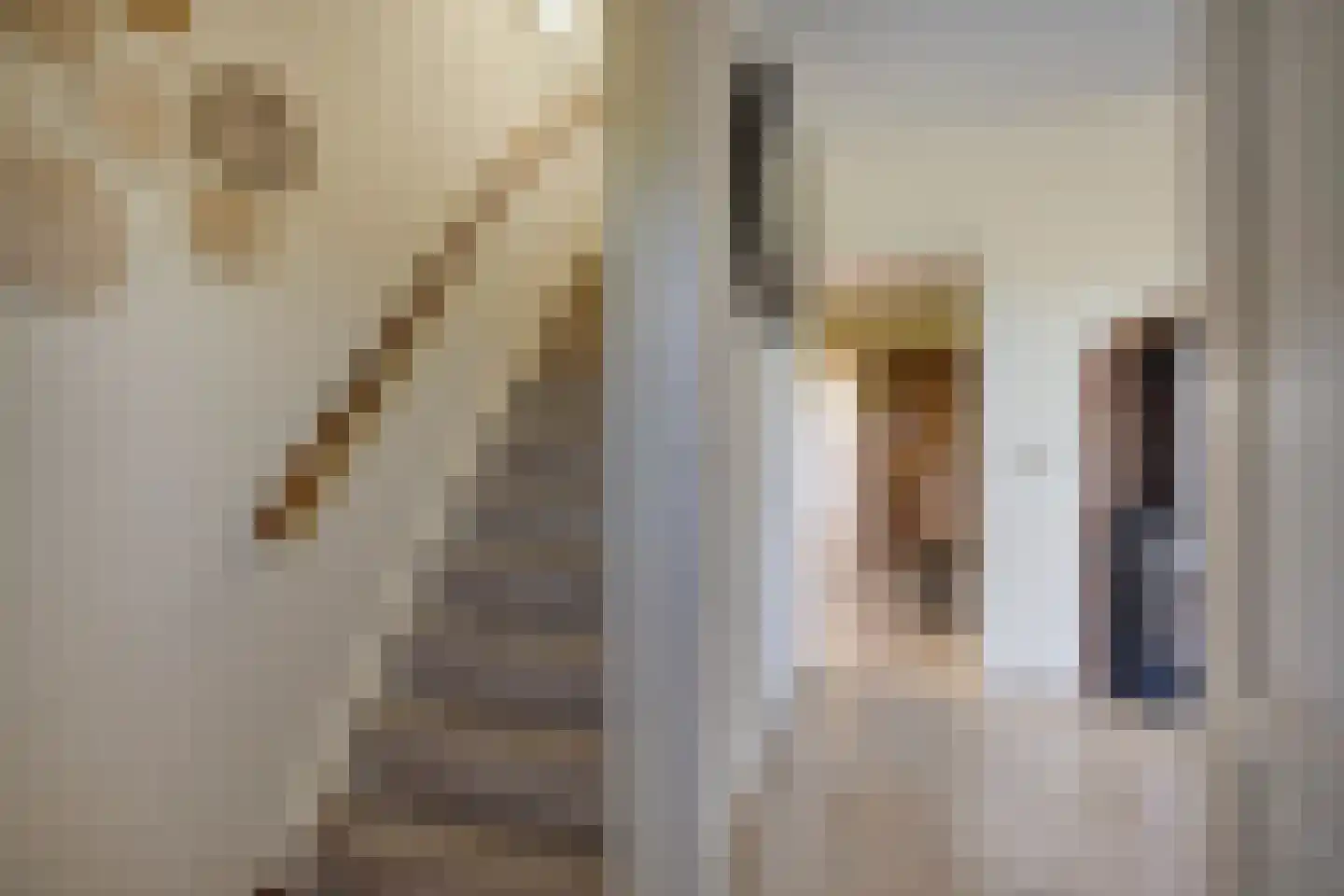 Ysselsteynseweg 11 Heide thumbnail 7