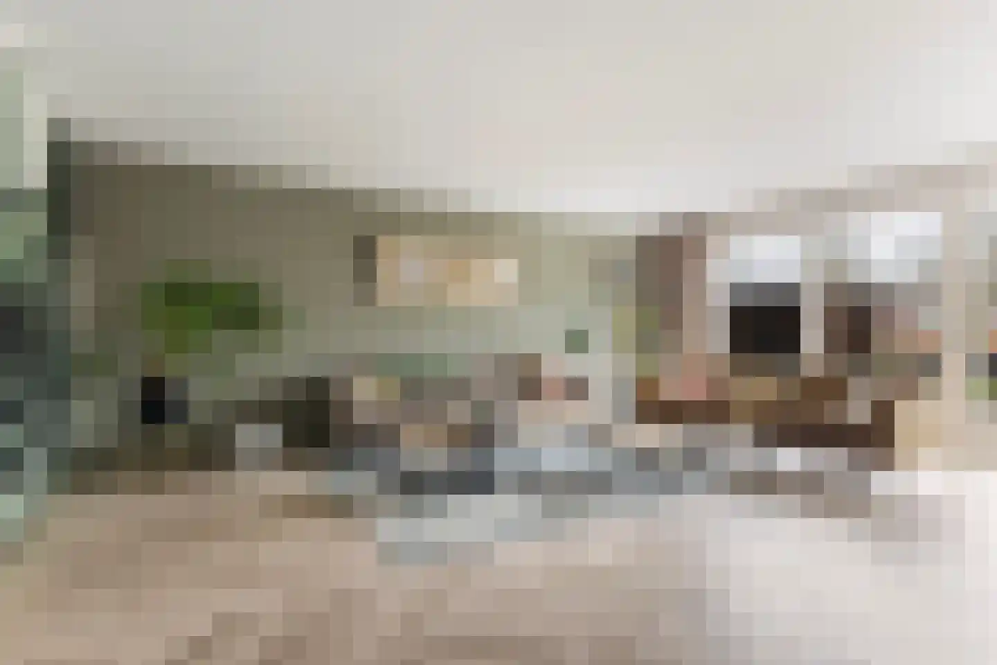 Ytsjesân 19 Leeuwarden thumbnail 10