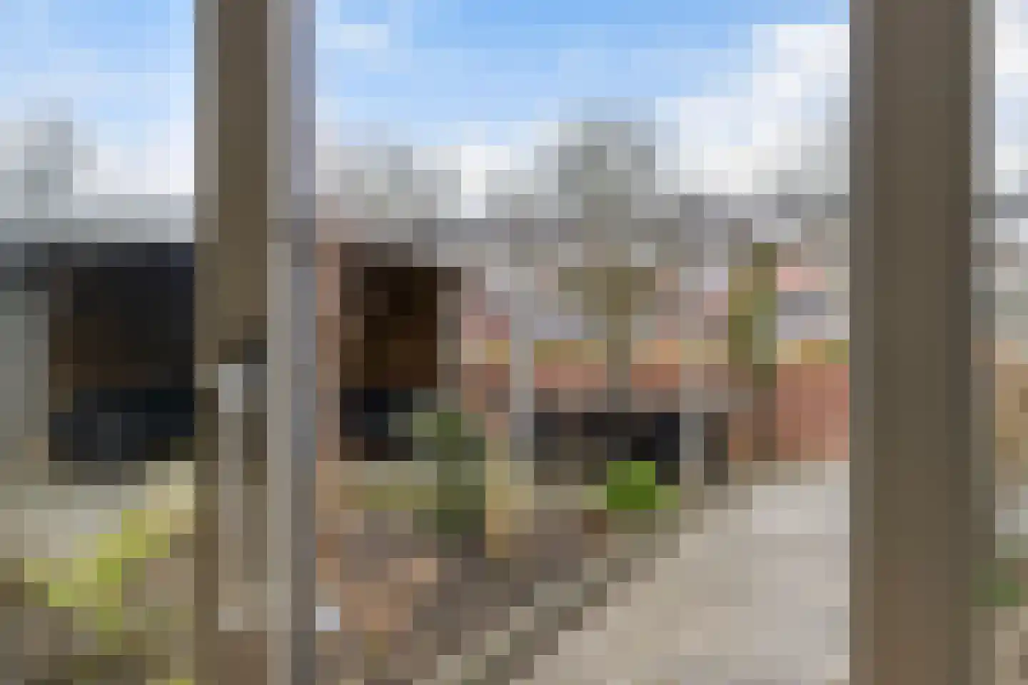 Ytsjesân 19 Leeuwarden thumbnail 18