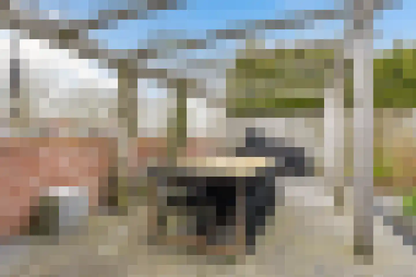 Ytsjesân 19 Leeuwarden thumbnail 21