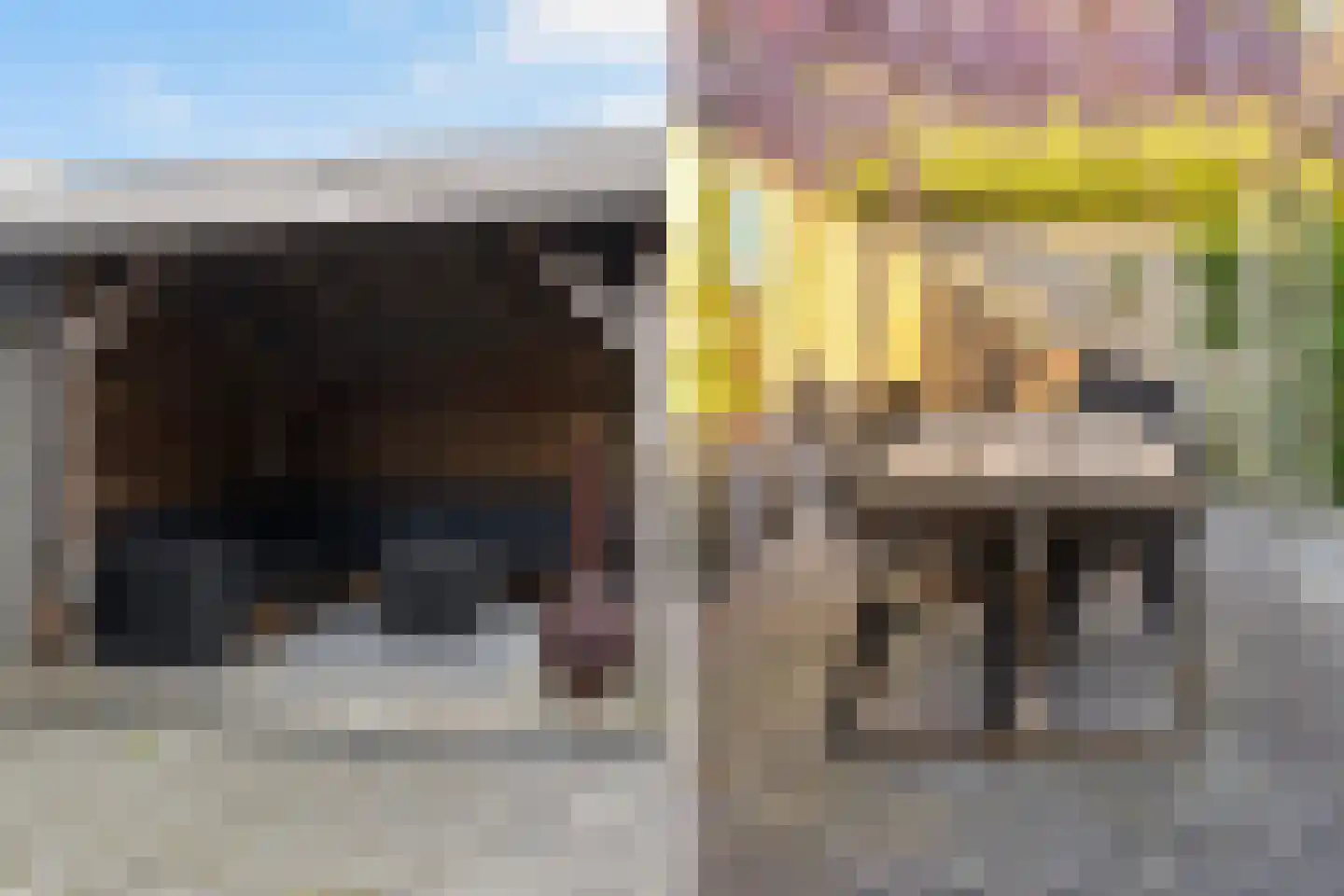 Ytsjesân 19 Leeuwarden thumbnail 23